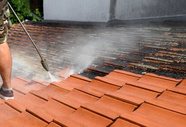 Best Exterior Home Cleaning  in Perry, OH